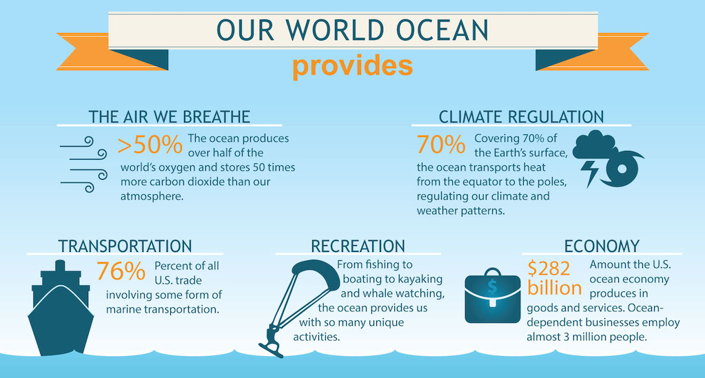 Connection To Water World Ocean Day For Schools   Our Ocean 